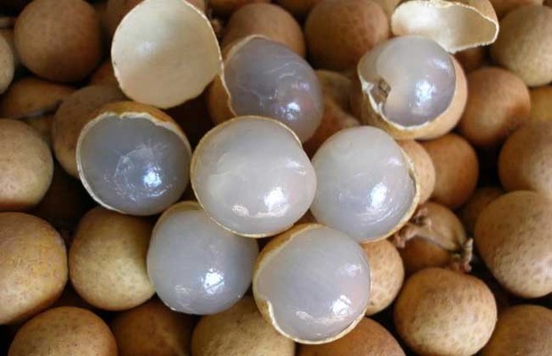 龙眼和什么不能一起吃_360问答