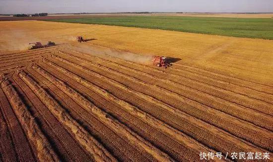 未来10年，农民的土地最终会落到谁的手里？未来土地发展形势