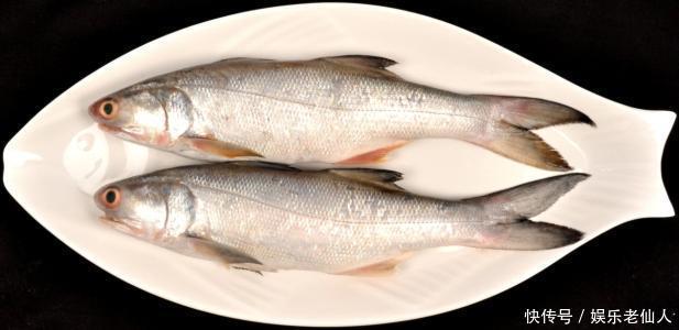 鱼多少条比较好 t01069ce17b7e40581a.jpg