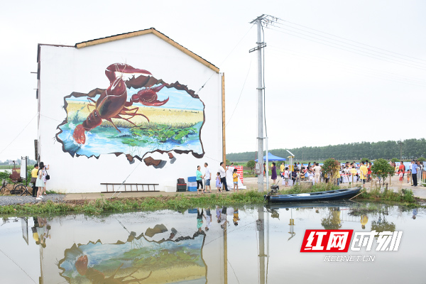 益阳市资阳区茈湖口镇新飞村举办\＂龙虾节\＂