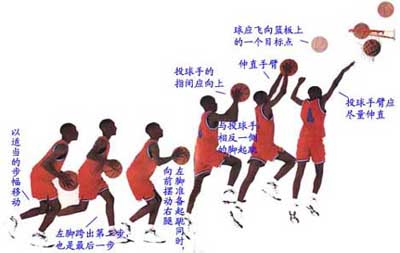 >> 文章内容 >> 篮球的正确投篮姿势有哪些  篮球的射球正确姿势,答