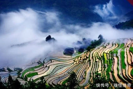 这里是中国最后的枪手部落！至今都还保留着古老的生活习俗