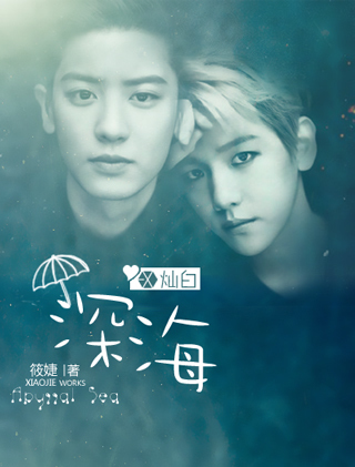 求做小说封面,EXO王道小说灿白CP_360问答