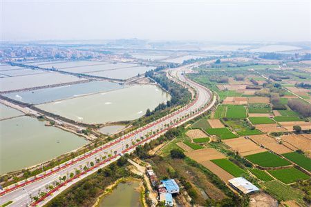 鮟鱇魚：鮟鱇魚長什么樣子圖片 戰(zhàn)車紅龍魚