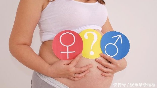 胎儿的性别是从什么时候开始决定的?看完可