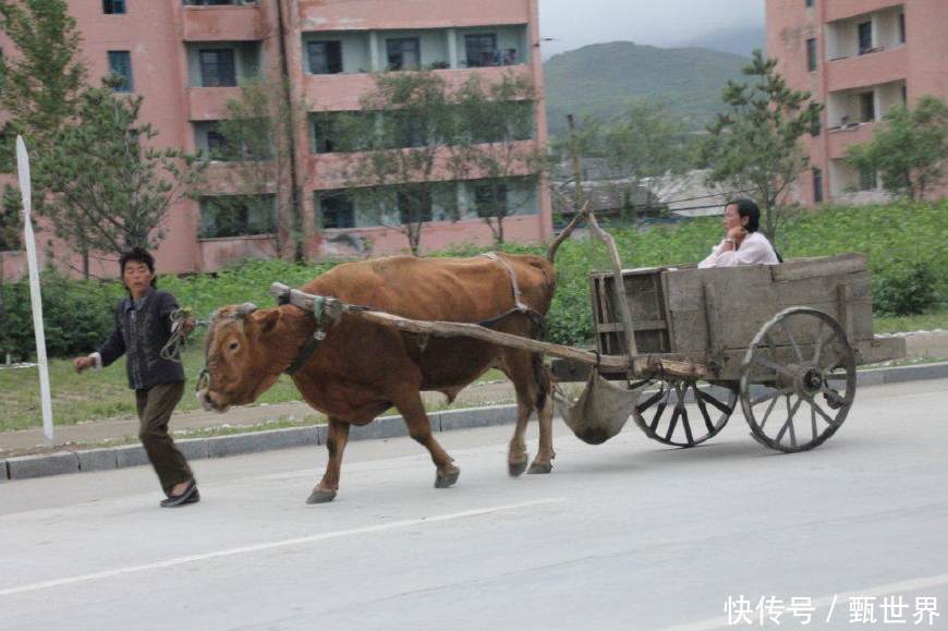 朝鲜百姓为什么很少出国旅游,朝鲜导游说出了