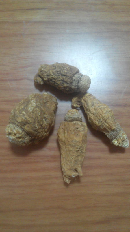 请问这是什么东西?有点香味,像是药材。_360