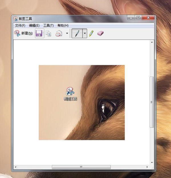 怎么用电脑里的截图工具快捷截图_360问答