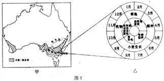图5中甲为澳大利亚小麦-牧羊带分布示意图,乙