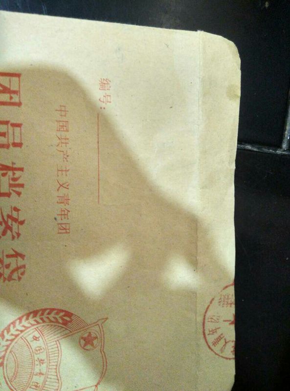 我2010年初一入的团 高中转学,团员档案弄丢了