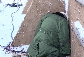 这真的不是某个经典表情包的真人cos吗