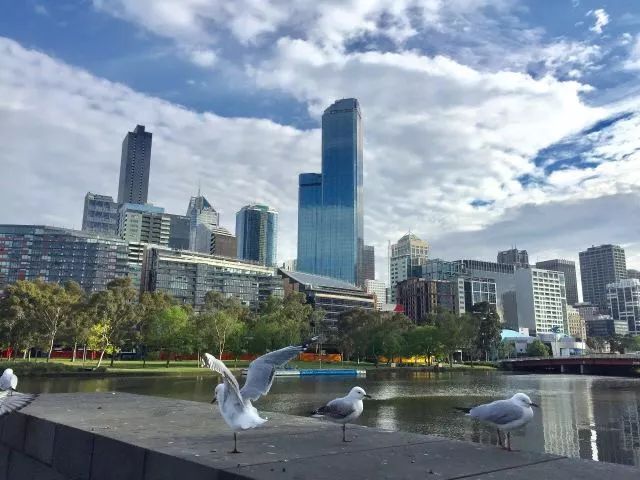 2018年楼市怎么变?任志强、曹德旺竟然这么说