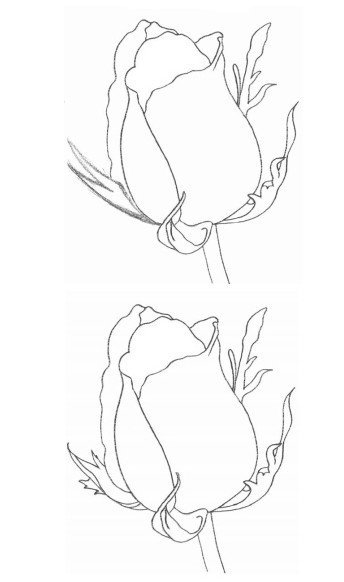 求素描玫瑰花的画法 要有有图的步骤_360问答