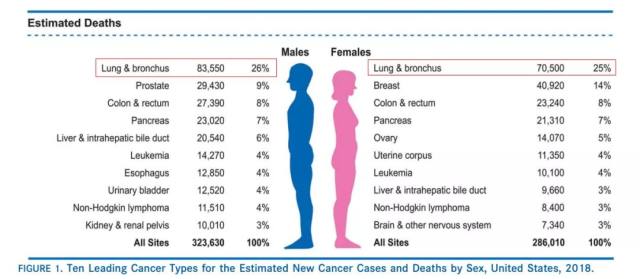 美国 2018 癌症统计报告发布，中美对比结果差异在哪儿