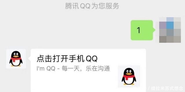 qq启动不了