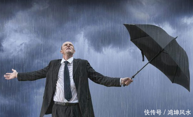 明年事业稳定,财运旺的生肖