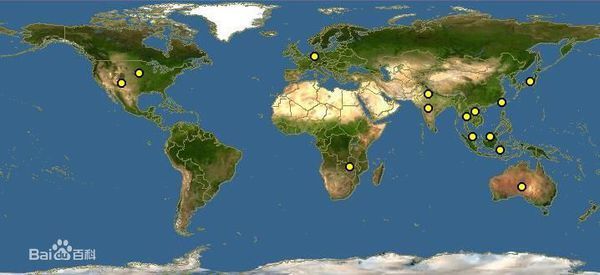 南半球有没有熊_360问答