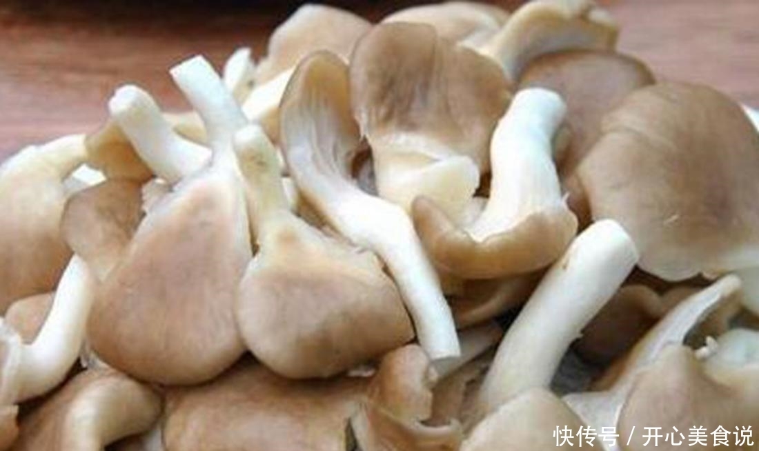 凤尾菇对生活环境的要求,这些关键点很重要,进来看看吧! 亚洲城唯一官方