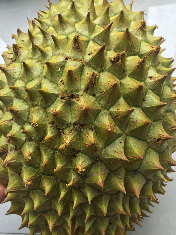 榴莲买了几天了 收到的时候就这样 还没开?这