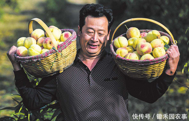 土地确权前没申请到宅基地,确权后还能申请吗?这三种情况可以!