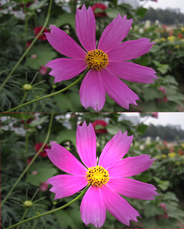 PS怎样把图的一部分颜色变淡?_360问答