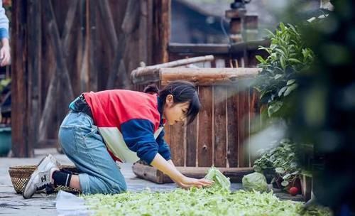 我去《向往的生活》,张子枫的回答太幽默了