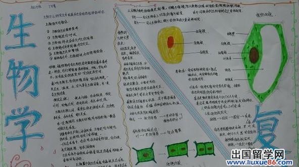 >> 文章内容 >> 初一生物细胞手抄报  初一生物问:一个细胞有八条