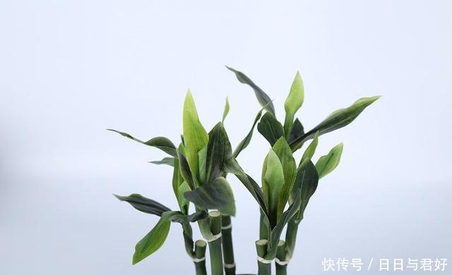 t011597c2ff692bfc32.jpg