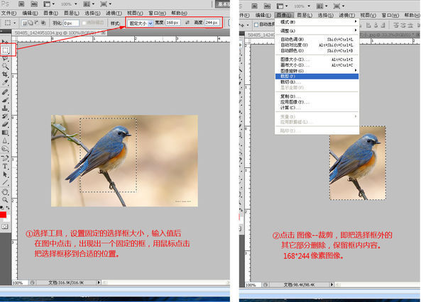 如何在photoshop调整图片像素高宽_360问答