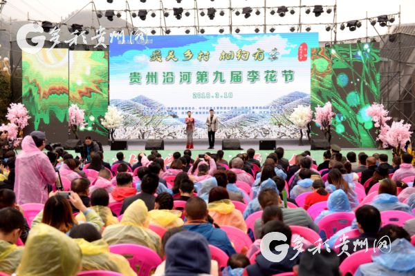 阳春三月!沿河南庄万亩李花吸引着众多游客前来游玩