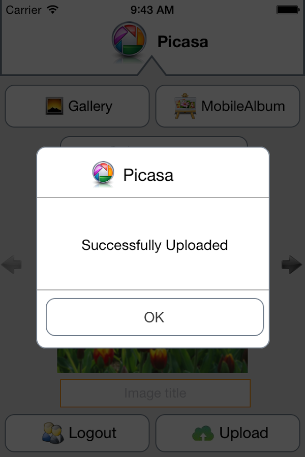 Smart Browser For Picasa截图21