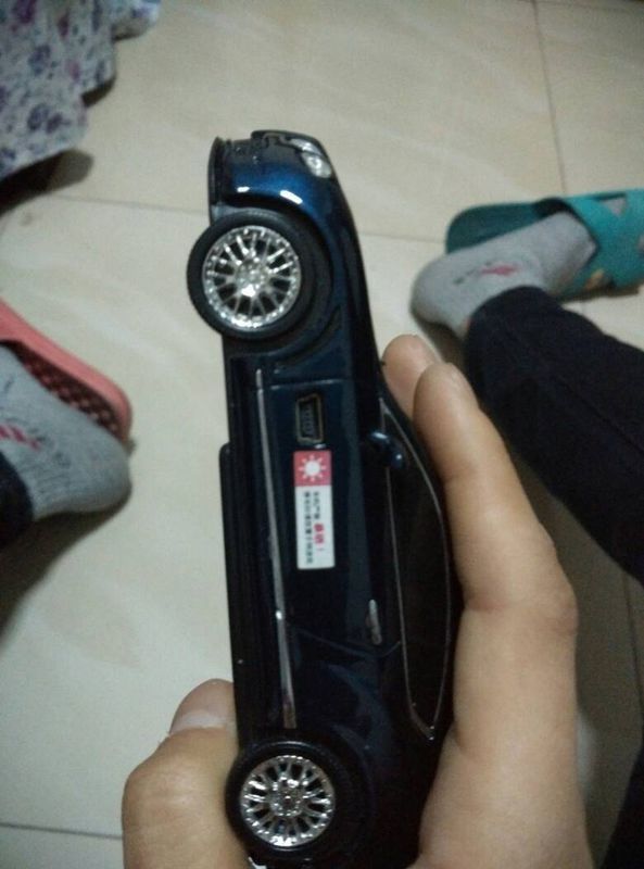 威仕特电子狗充电线丢了 去买一般的充电匹配