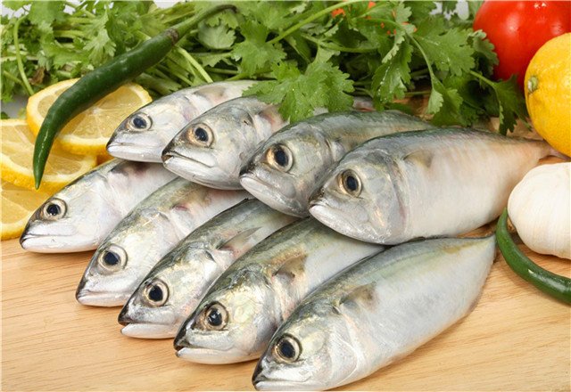 The Majestic <strong><mark>arowana</mark></strong> in Tepic: A Guide to Finding and Caring for the King of Fish in the Capital of Nayarit