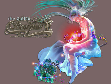 1967年阳历11月8日出生的是什么星座_360问