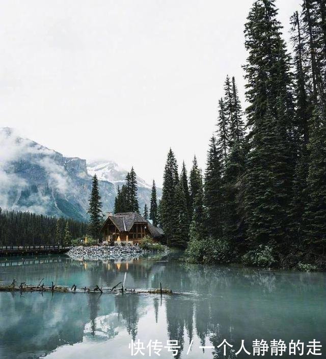 句句说到你心里的人生感悟句子,令人相见恨晚