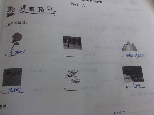 看不清啊,5年级上册英语第六单元 第二张其他