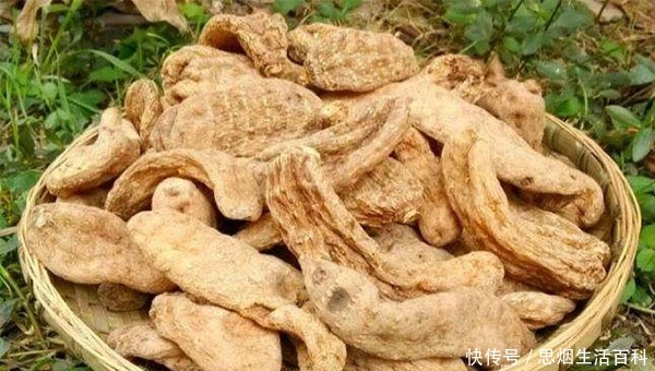 t011b74124dc32ed55e.jpg?size=600x340