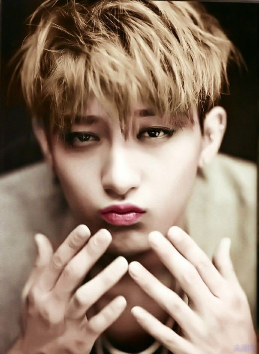 xo里的孔雀哥哥照片及资料 exo孔雀哥哥是谁叫