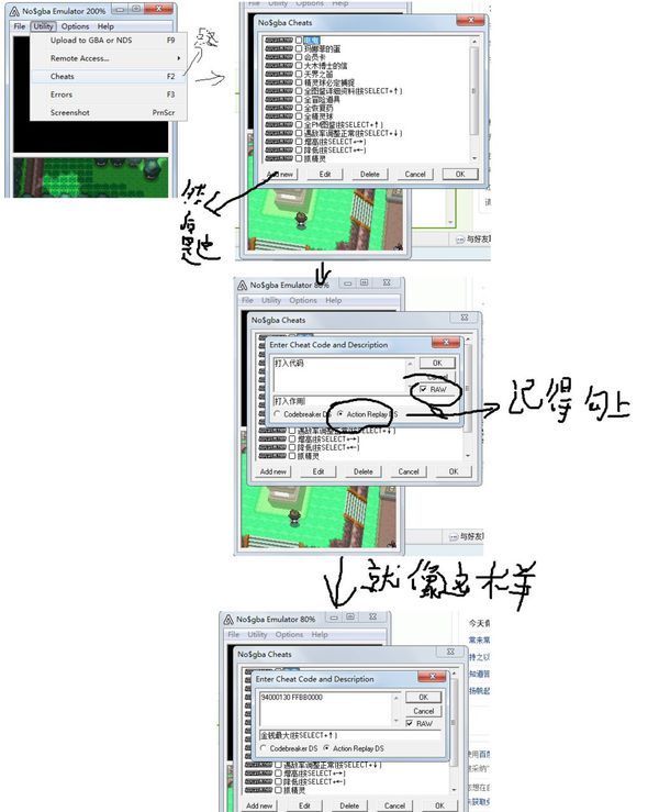 电脑上的nds模拟器口袋妖怪白金金手指怎么用