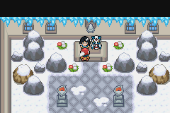 口袋怪兽白金光雪柔市馆主在哪里_360问答