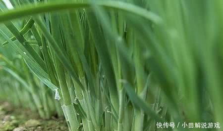 農業節水灌溉(gài) 農業節水灌溉