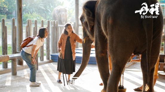 朱丹呼吁救助残疾大象聆听盲童演出，在感动中结束《丹程》之旅
