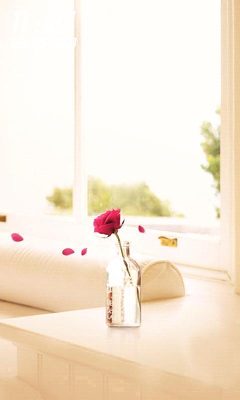 480 800手机唯美壁纸