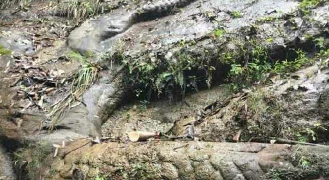 男子外出旅游，发现奇特的石头，走进看后眼前的画面让他傻了眼