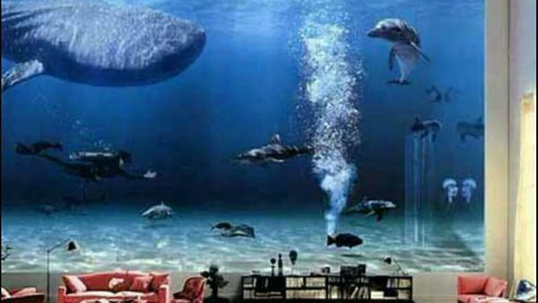 能的网友(见图)刚买了新房,准备设计一个电视背