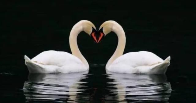 黄斌汉:商誉爆,科创板来,价值投资春天到了?