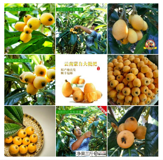 新农人大V们平日里自媒体都发布些什么内容?