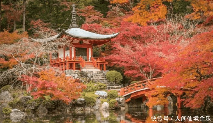 日本十大贵族姓氏 为何日本天皇没有姓氏