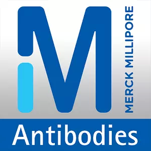 merck antibody catalog