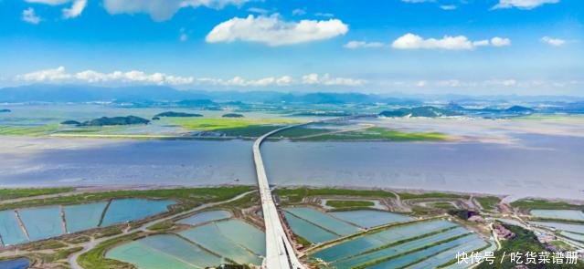 世纪工程,台州龙脉,台州沿海高速公路